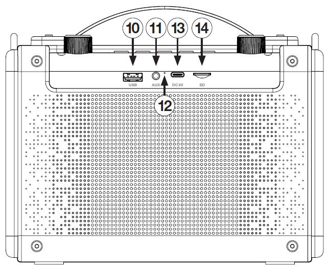 Rear-view line-art diagram detailing the input/output connection panel of a portable Bluetooth speaker, with numbered callouts 10 through 14 identifying the ports:  * **10 – USB Port:** Standard USB-A port located on the left side of the upper input strip, labeled **USB**. * **11 – Auxiliary Input:** 3.5 mm auxiliary audio jack located second from left, labeled **AUX**. * **12 – Charging / Status Indicator LED:** Pin-hole indicator light positioned between the AUX jack and the USB-C charging port. * **13 – USB-C Power Input:** USB Type-C charging port located second from right, labeled **DC 5V**. * **14 – SD Card Slot:** MicroSD / SD card slot located on the far right of the input strip, labeled **SD**. * **Housing Context:** The port panel sits along the top edge above a large perforated metal speaker grille covering the rear body, with the top handle and control knobs visible above the main enclosure.