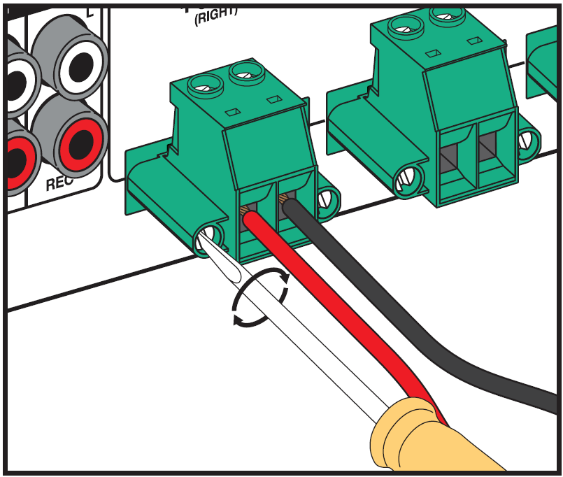 A technical diagram illustrating the final step of securing a plugged-in Euroblock/Phoenix terminal connector onto an audio device panel:  Inserted Terminal Block: A green 2-pin Euroblock connector with red and black speaker wires attached is fully seated into its matching rear panel socket (located next to RCA jack inputs).  Locking Mechanism: A flathead screwdriver is inserted horizontally into the side mounting flange screw on the left side of the terminal block.  Action Indicator: A circular two-way arrow around the screwdriver shaft indicates turning the screw clockwise to firmly lock the connector block onto the chassis socket housing.